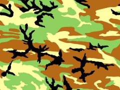 Jungle Camo