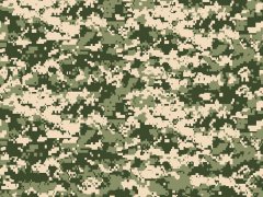 Digital Camo